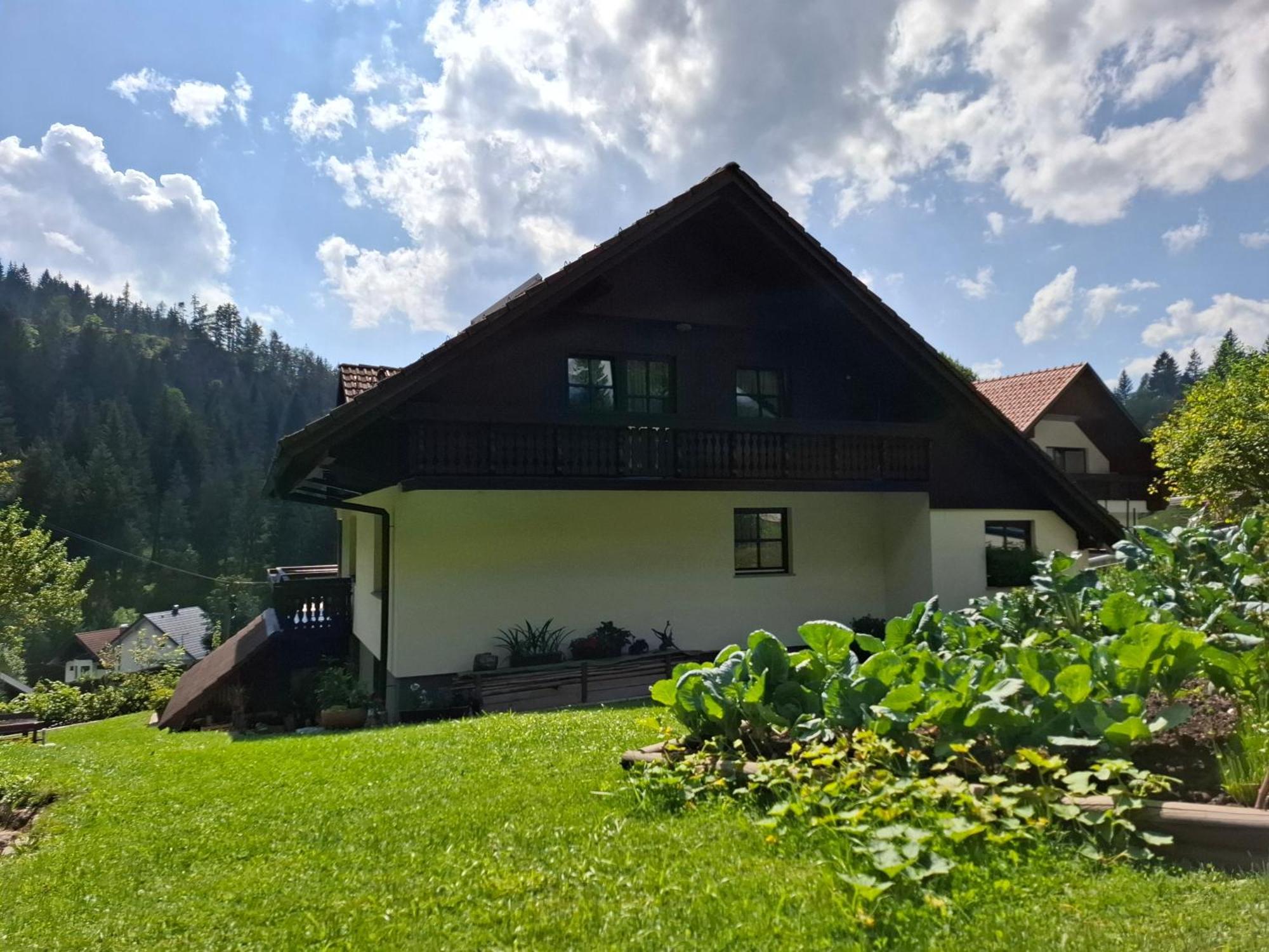 Apartma Cvrsta Trojka Jesenice Eksteriør bilde